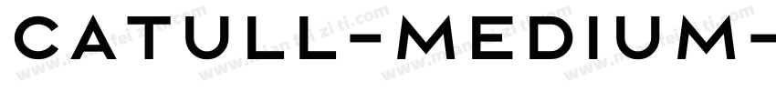 Catull-Medium字体转换