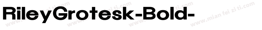 RileyGrotesk-Bold字体转换