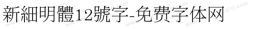 新細明體12號字字体转换