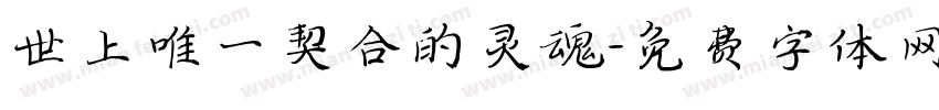 世上唯一契合的灵魂字体转换