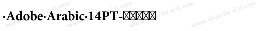 ·Adobe·Arabic·14PT字体转换