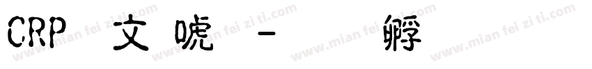 CRP古印体字体转换