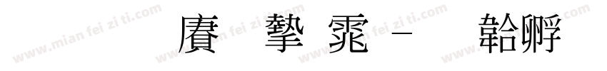 标准国际宋体字体转换