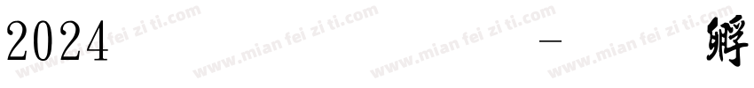 2024流行字体字体转换