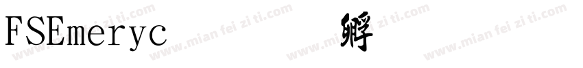 FSEmeric书字体转换