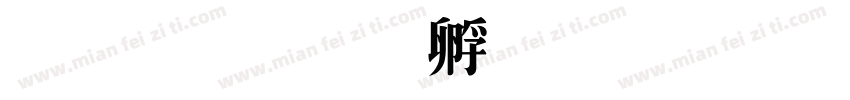 王特字体转换