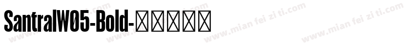 SantralW05-Bold字体转换