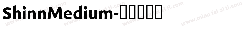 ShinnMedium字体转换
