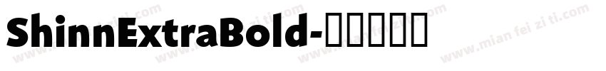 ShinnExtraBold字体转换