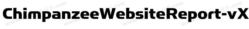 ChimpanzeeWebsiteReport-vXL4字体转换
