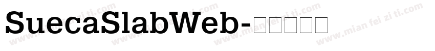 SuecaSlabWeb字体转换