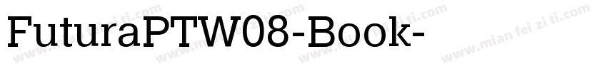 FuturaPTW08-Book字体转换