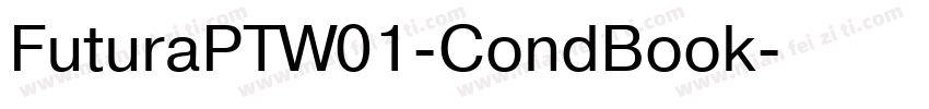 FuturaPTW01-CondBook字体转换