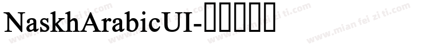 NaskhArabicUI字体转换