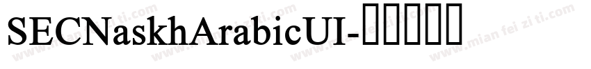 SECNaskhArabicUI字体转换