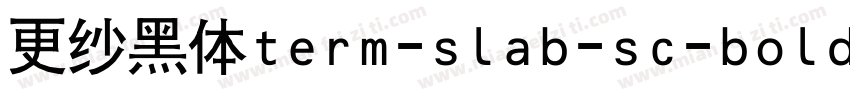 更纱黑体term-slab-sc-bolditalic手机版字体转换