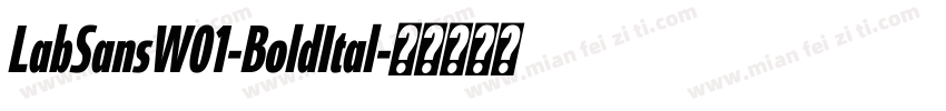 LabSansW01-BoldItal字体转换