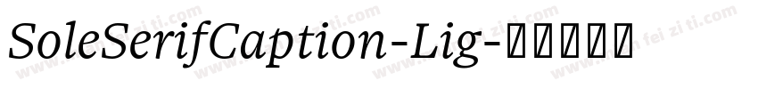 SoleSerifCaption-Lig字体转换