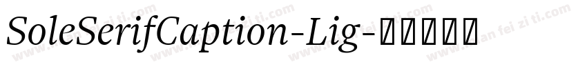 SoleSerifCaption-Lig字体转换
