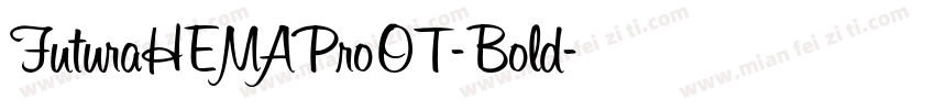 FuturaHEMAProOT-Bold字体转换