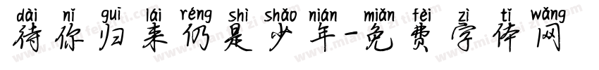 待你归来仍是少年字体转换