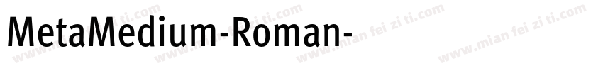 MetaMedium-Roman字体转换