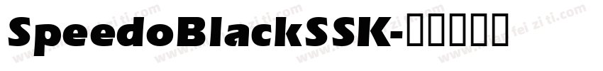 SpeedoBlackSSK字体转换