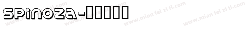 Spinoza字体转换