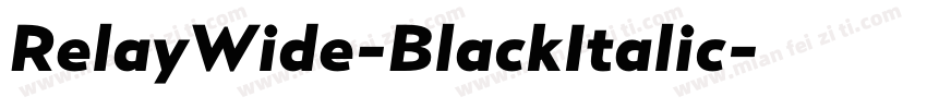 RelayWide-BlackItalic字体转换