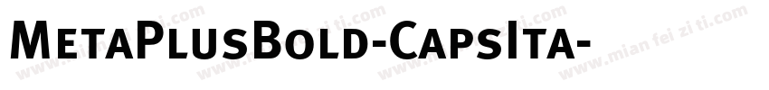 MetaPlusBold-CapsIta字体转换