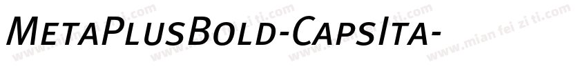 MetaPlusBold-CapsIta字体转换
