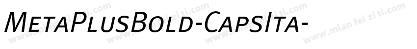 MetaPlusBold-CapsIta字体转换