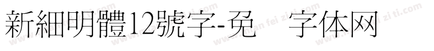 新細明體12號字字体转换