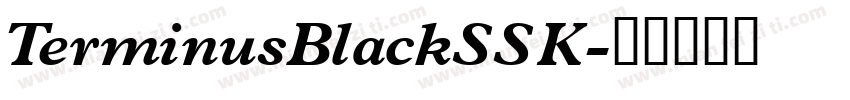 TerminusBlackSSK字体转换