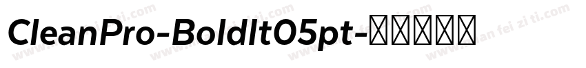 CleanPro-BoldIt05pt字体转换