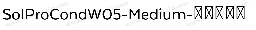 SolProCondW05-Medium字体转换
