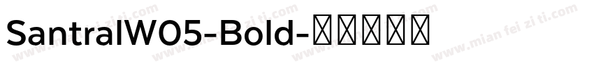 SantralW05-Bold字体转换