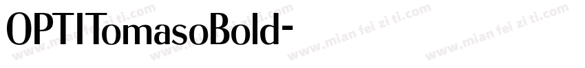 OPTITomasoBold字体转换