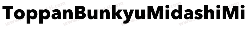 ToppanBunkyuMidashiMinchoStdN-Extra字体转换