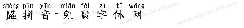 盛拼音字体转换