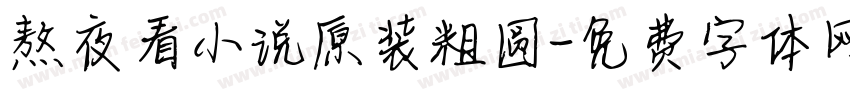 熬夜看小说原装粗圆字体转换