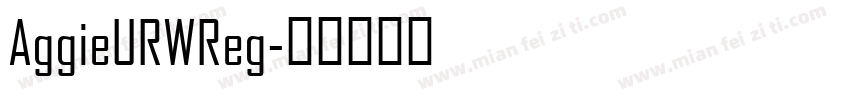 AggieURWReg字体转换