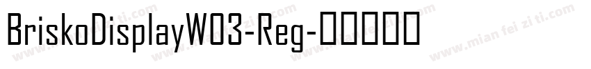 BriskoDisplayW03-Reg字体转换
