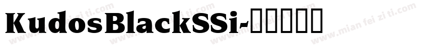 KudosBlackSSi字体转换