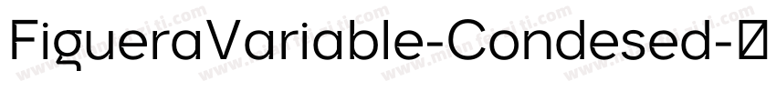 FigueraVariable-Condesed字体转换