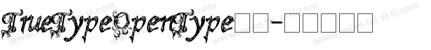 TrueTypeOpenType字体字体转换