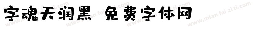 字魂天润黑字体转换
