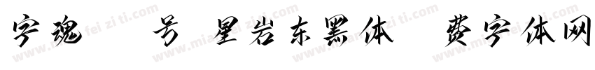 字魂189号-星岩东黑体字体转换