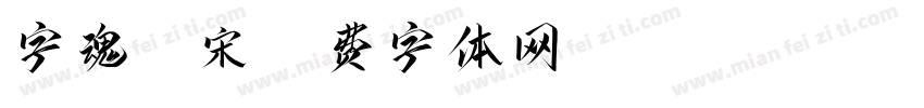 字魂95宋字体转换