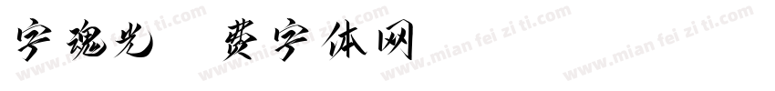 字魂光字体转换